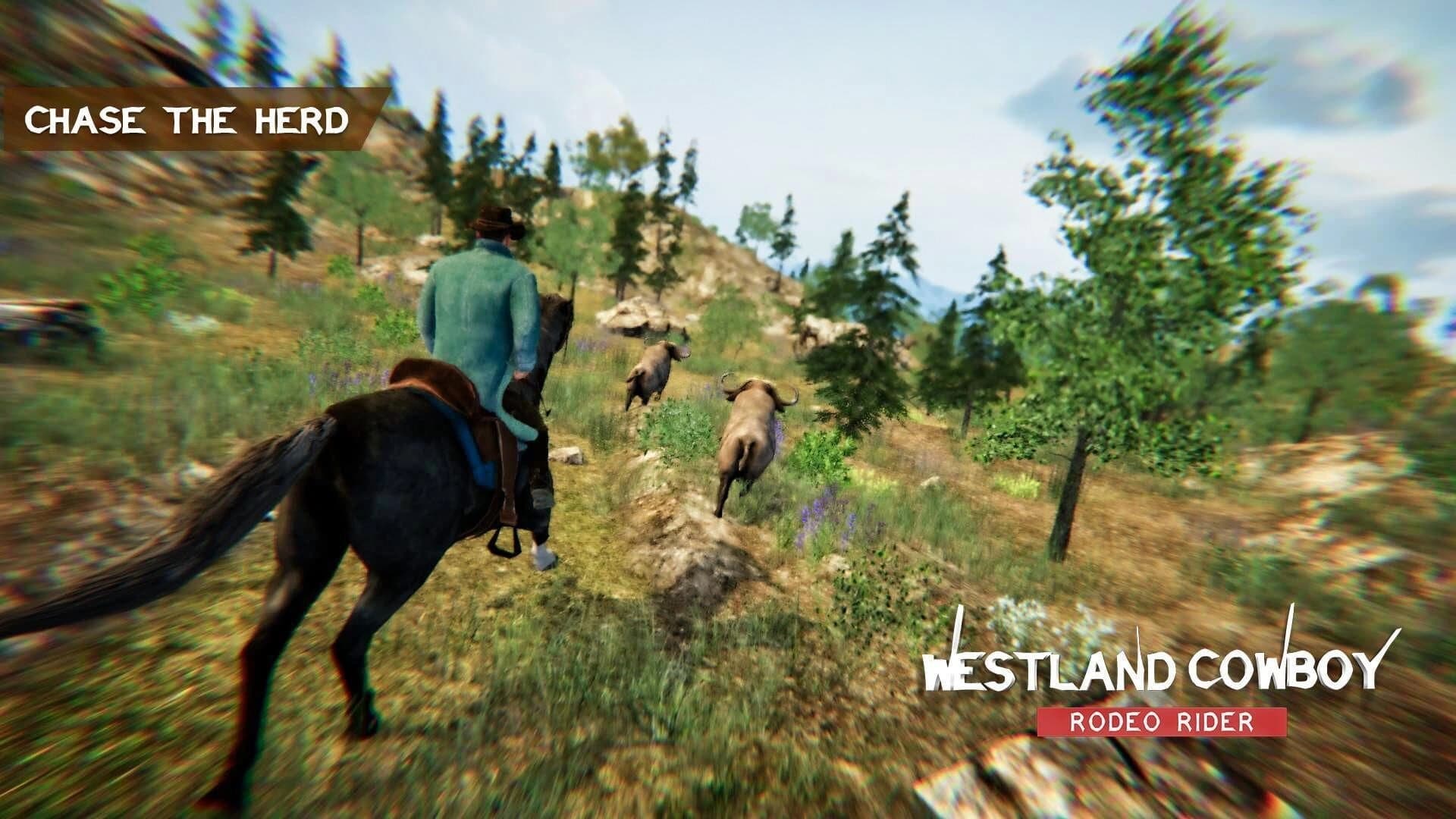 Westland Cowboy: Rodeo Rider screenshot 5