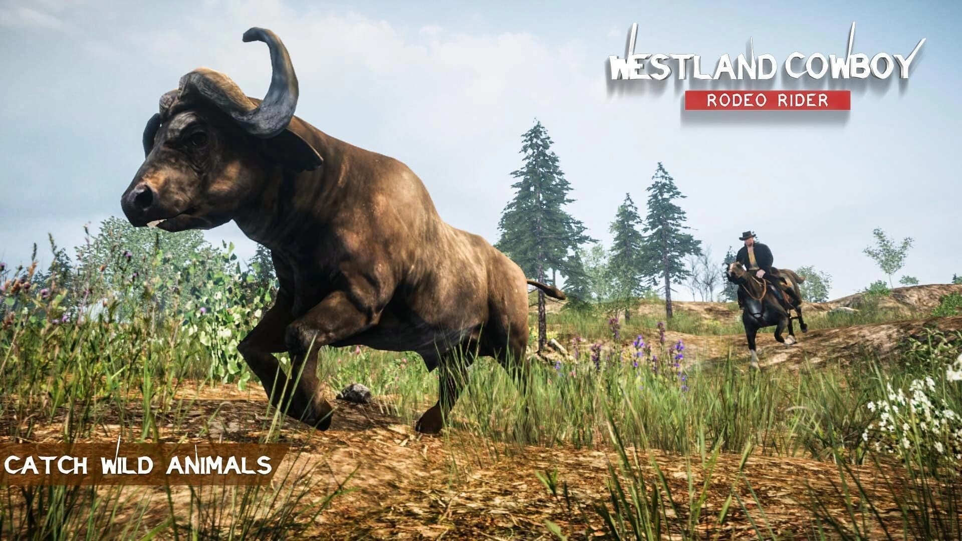 Westland Cowboy: Rodeo Rider screenshot 1