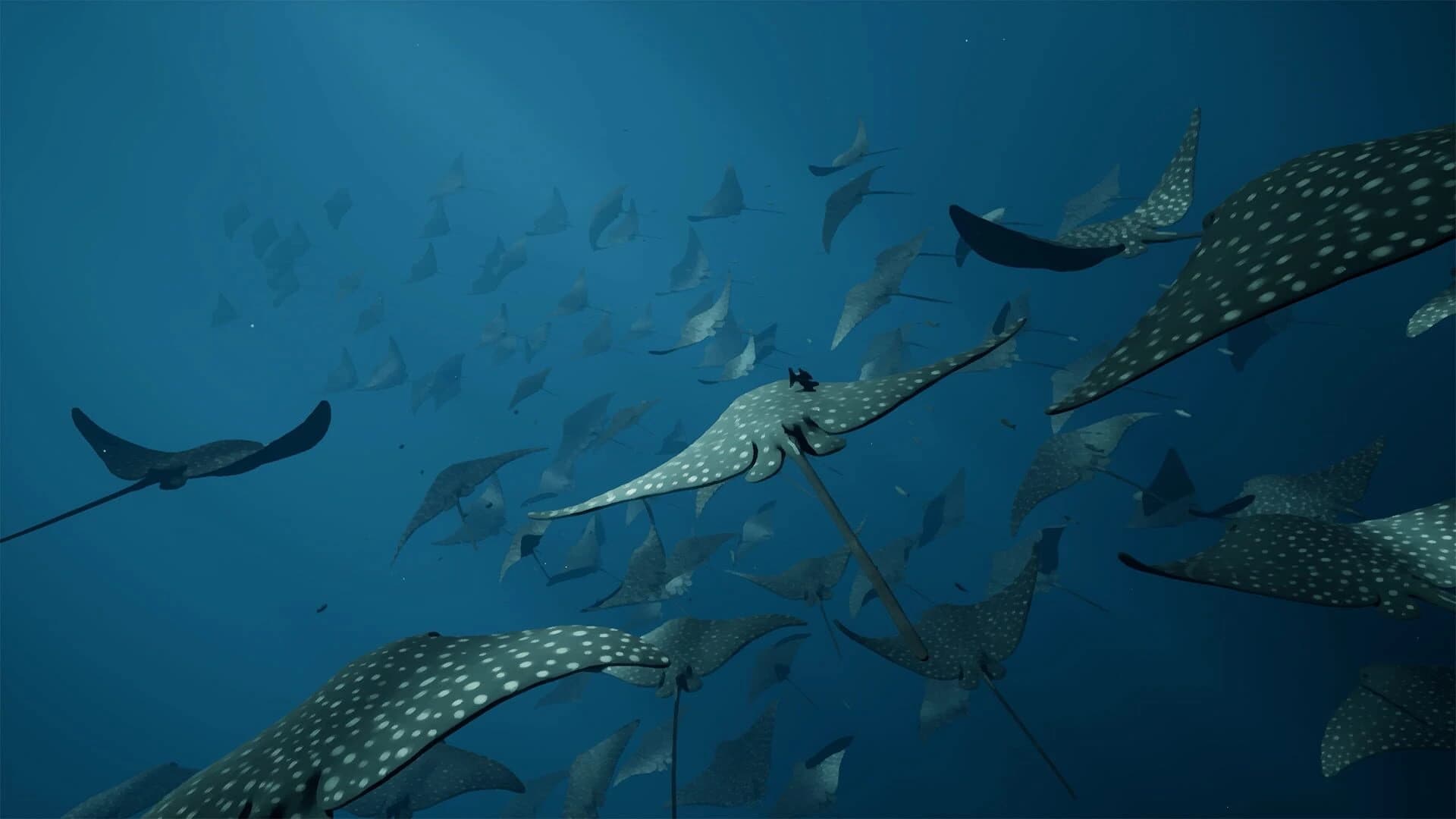 Whale Fall screenshot 3