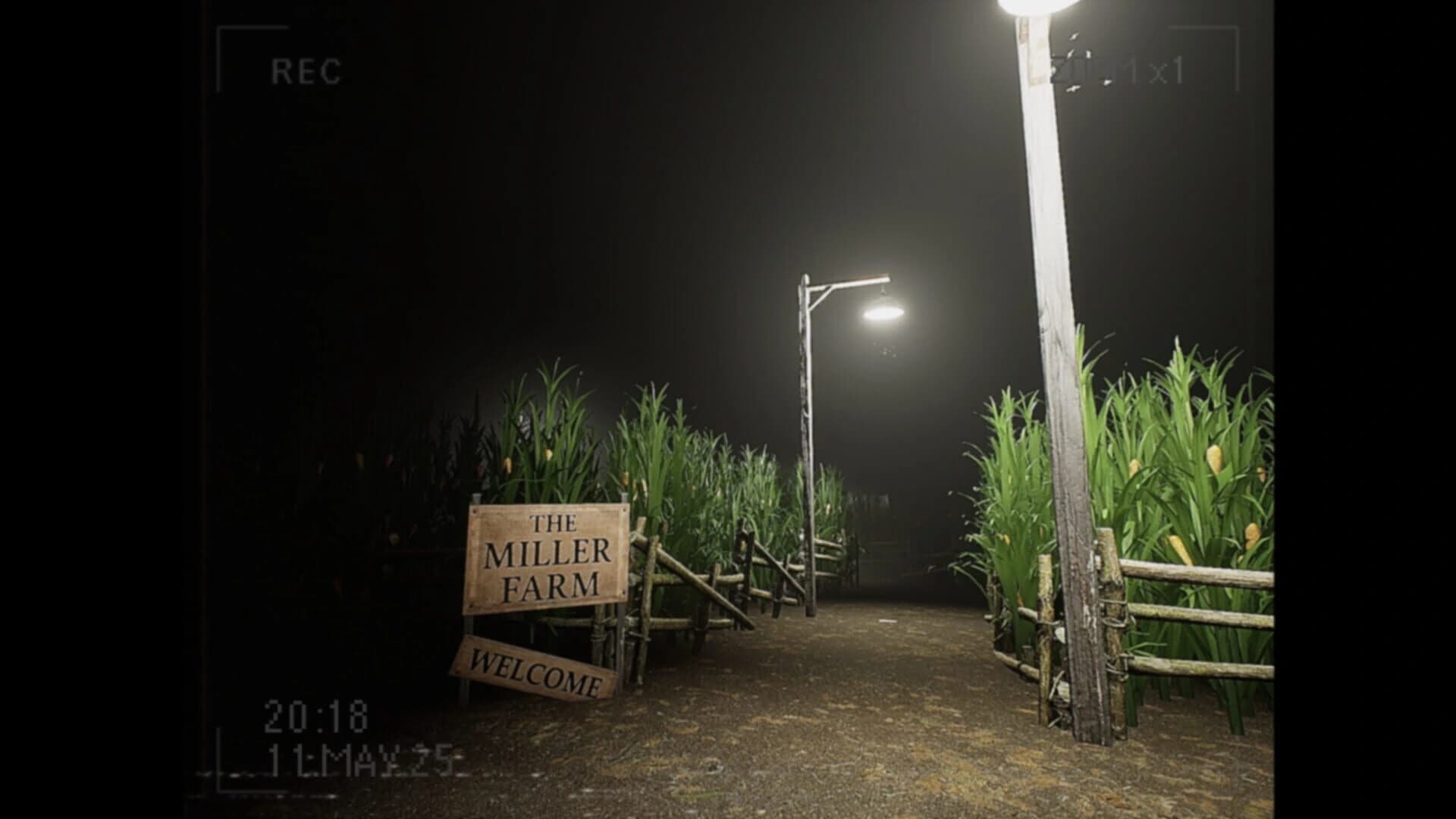 What Happened to Lily? screenshot 4