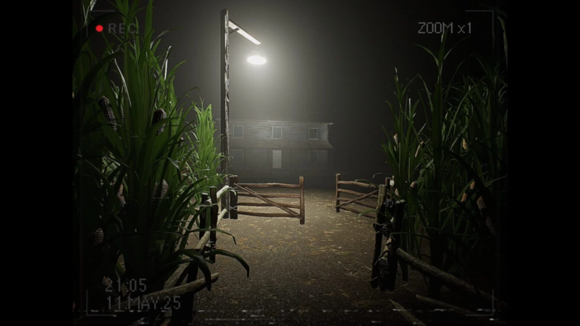 What Happened to Lily? screenshot 2