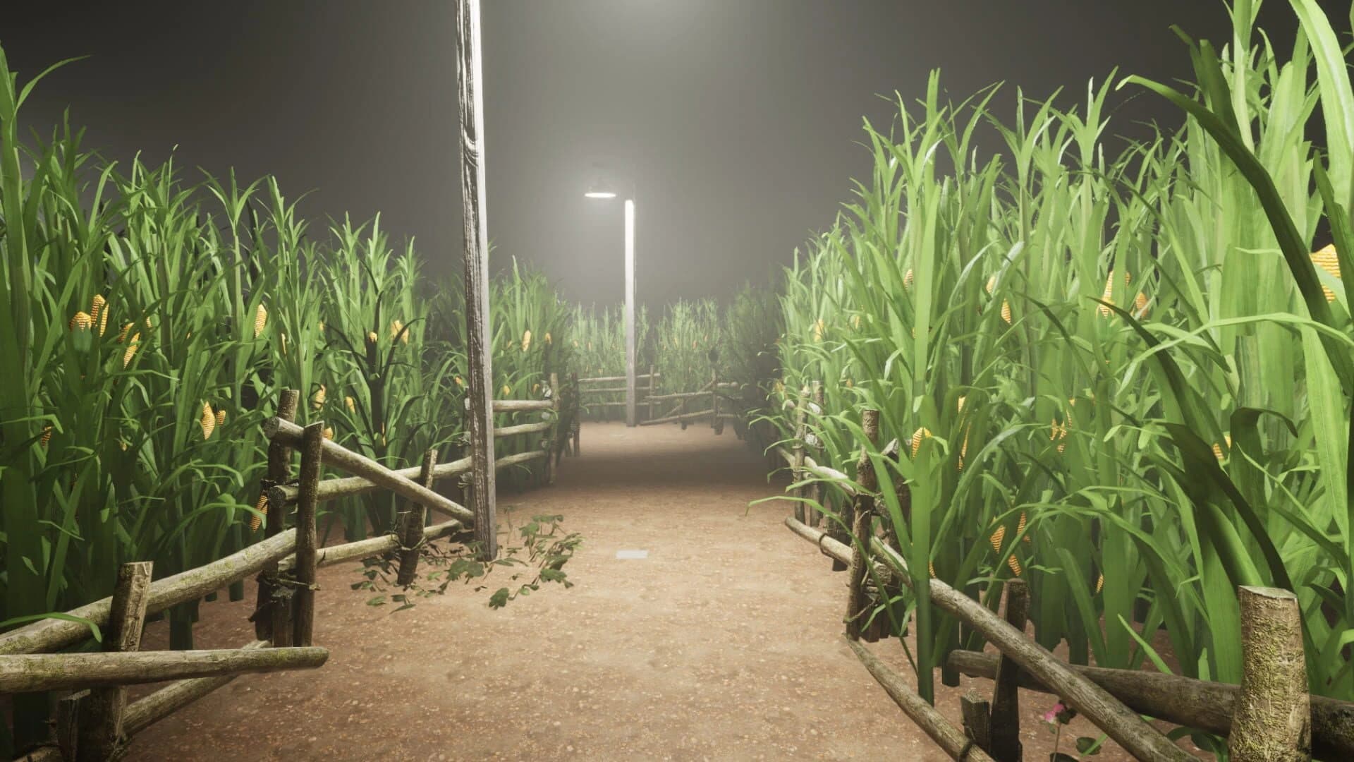 What Happened to Lily? screenshot 1