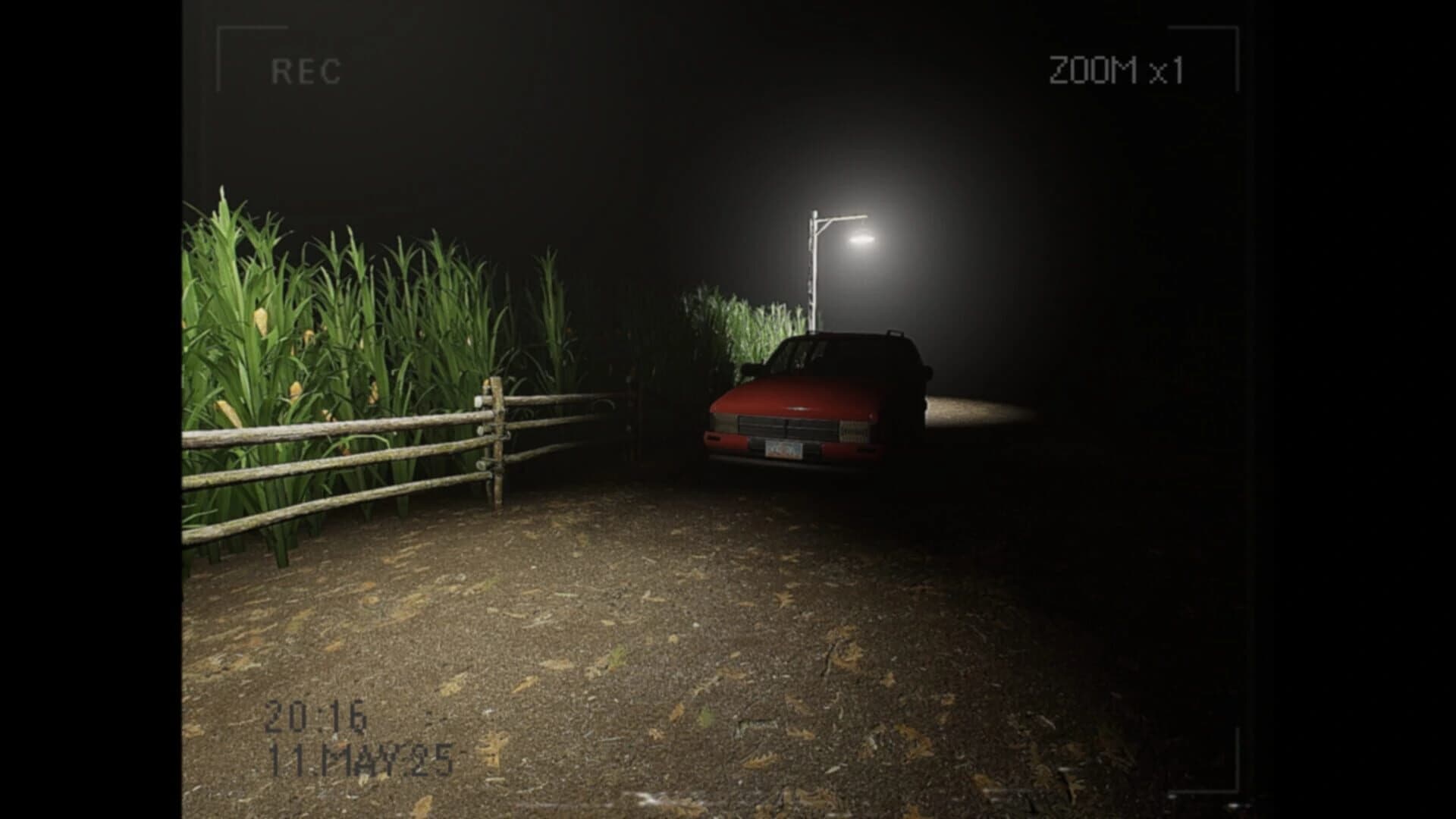 What Happened to Lily? screenshot 5