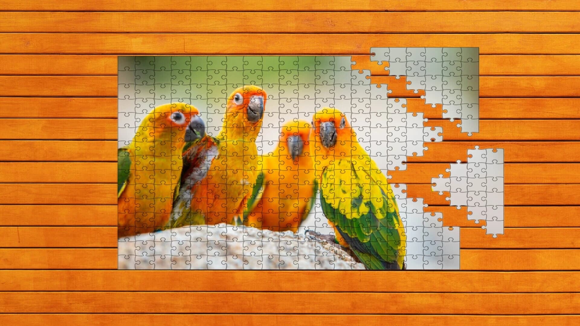 Whispers of Wings Jigsaw Puzzles screenshot 4