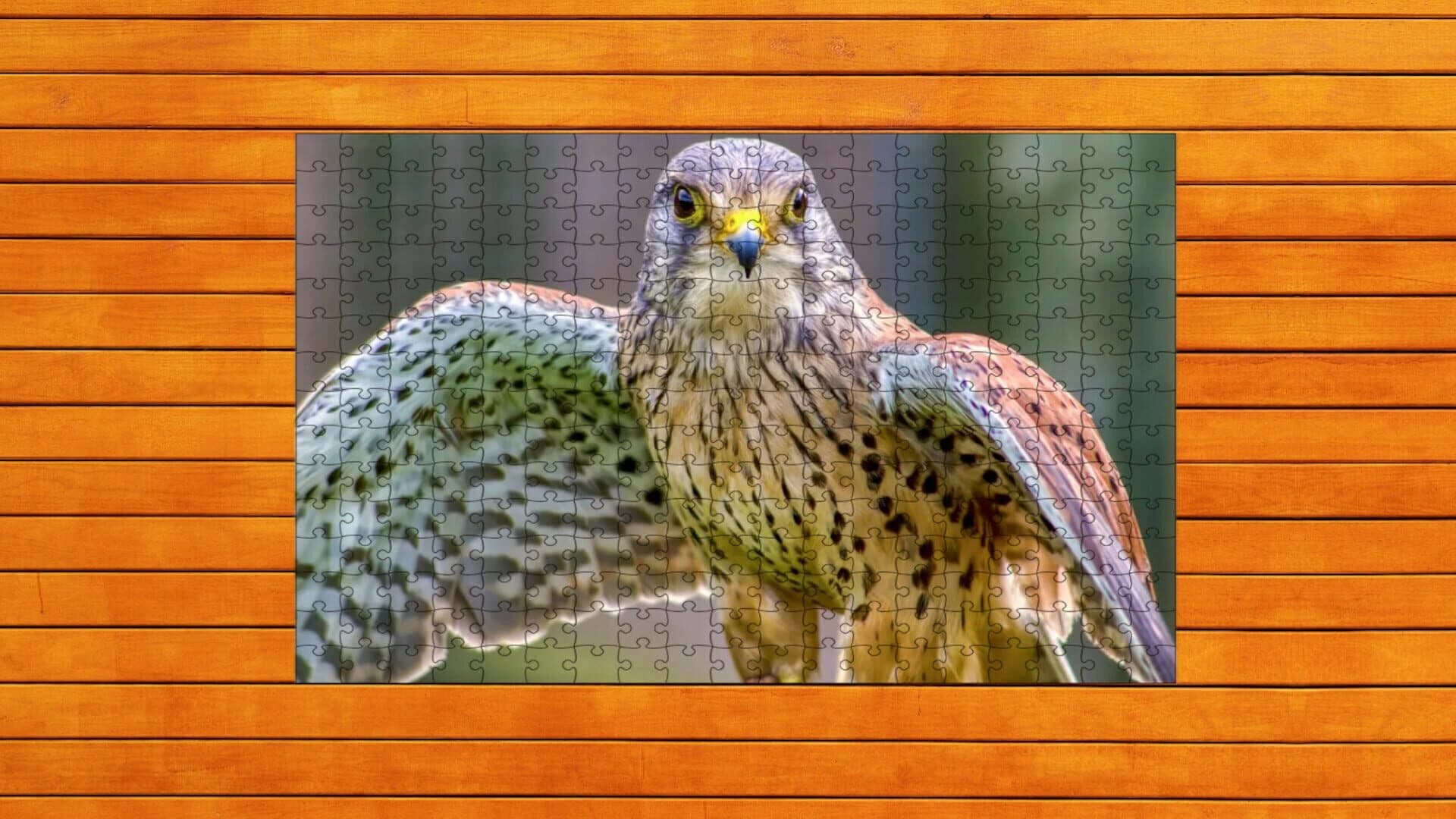 Whispers of Wings Jigsaw Puzzles screenshot 1
