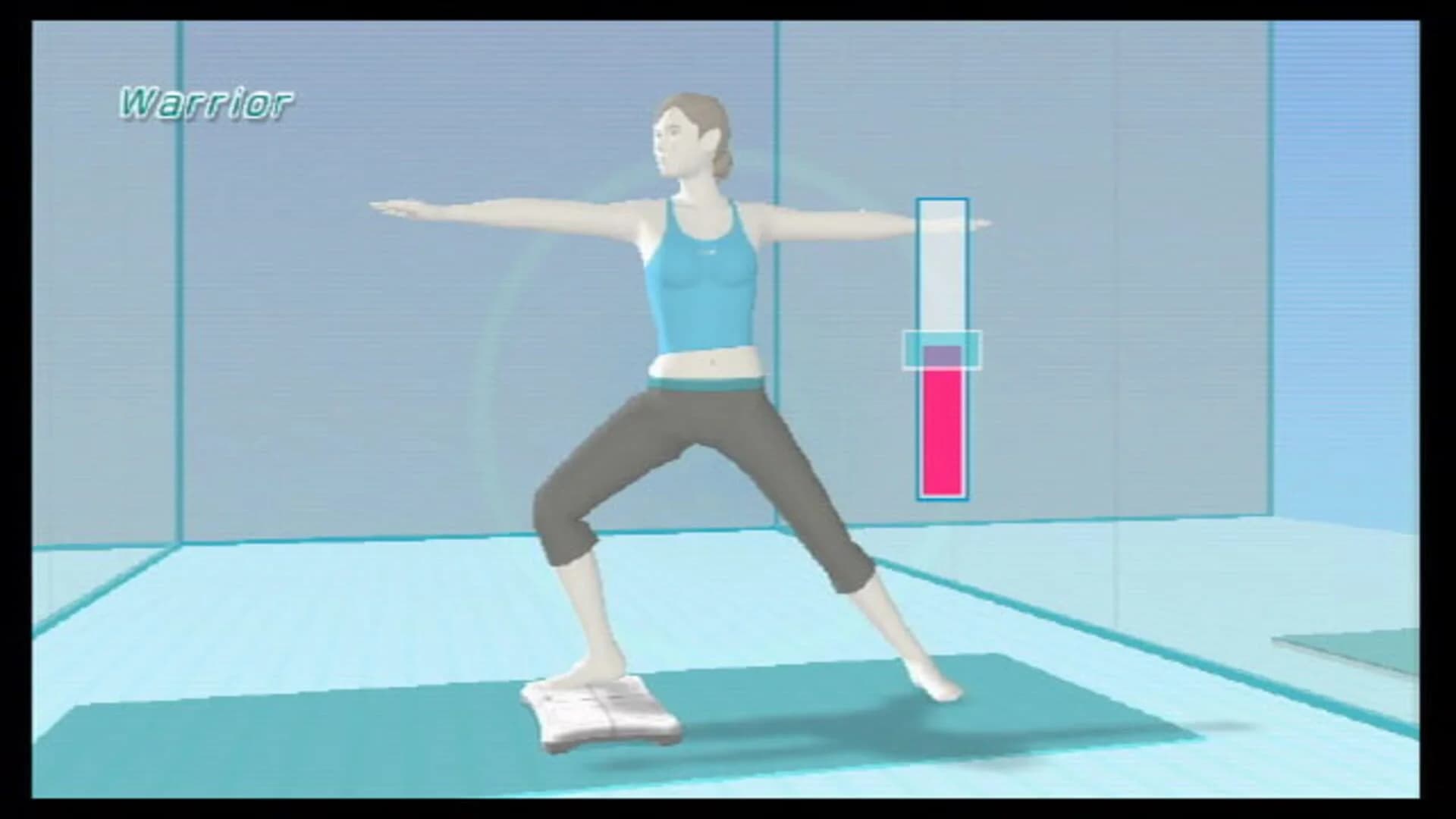 Wii Fit screenshot 5