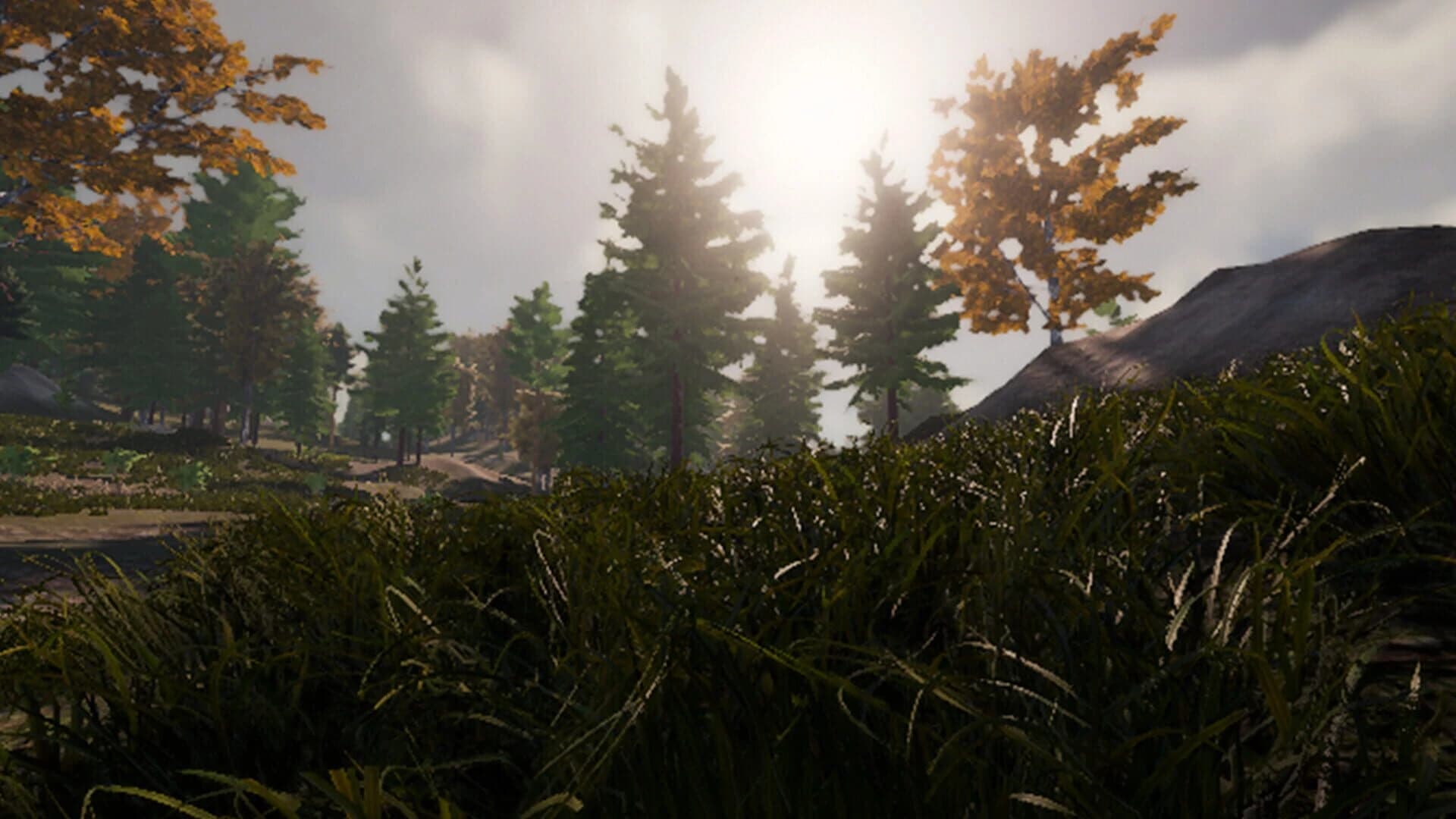 Wild Hunting screenshot 3