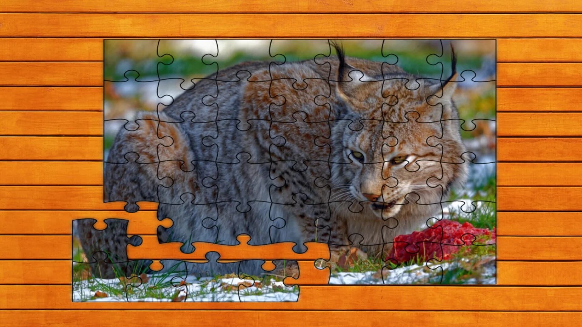Wild Lynx Jigsaw screenshot 5