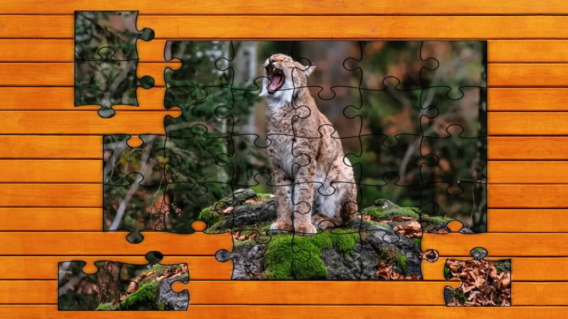 Wild Lynx Jigsaw screenshot 4