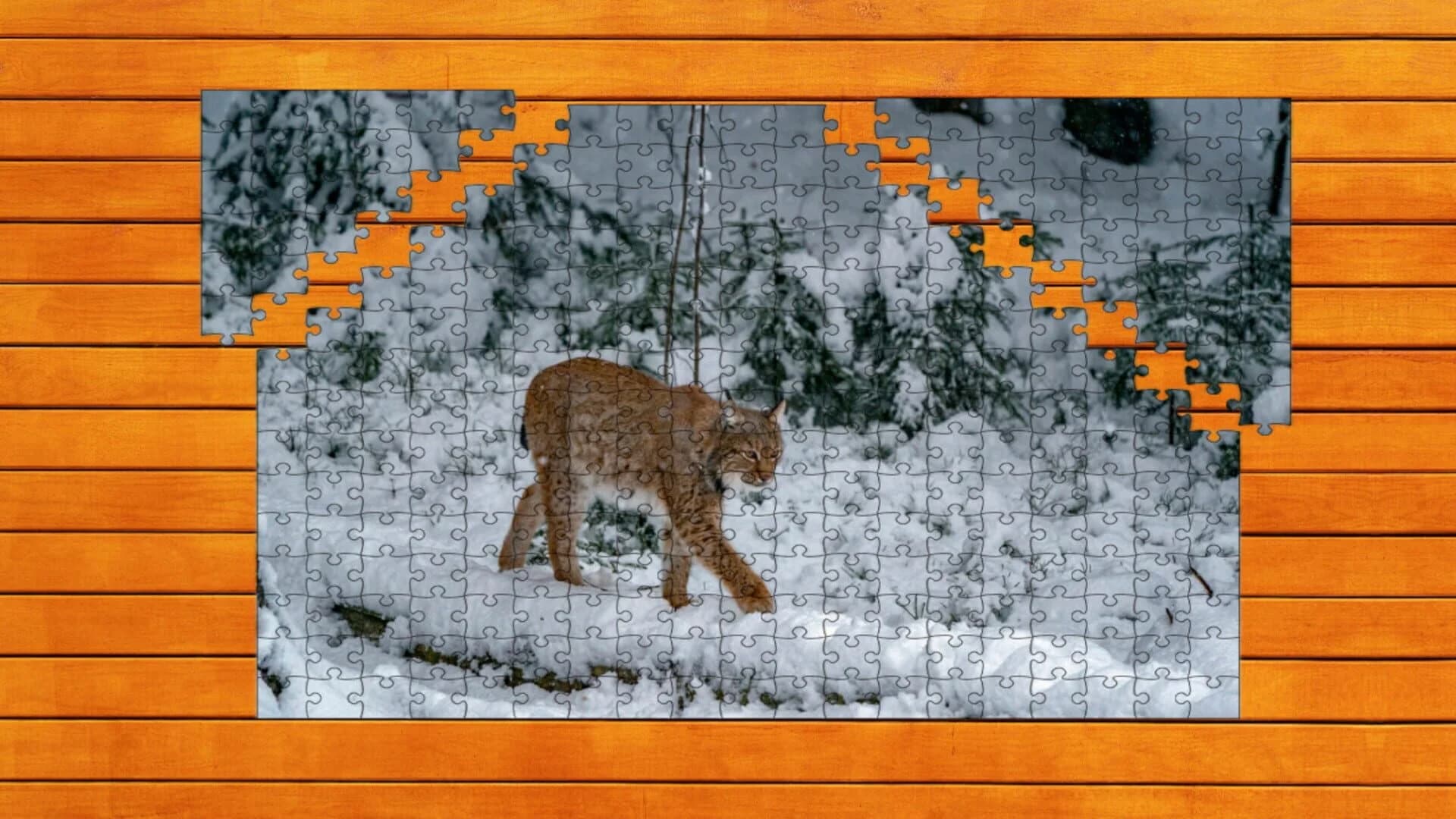Wild Lynx Jigsaw screenshot 3