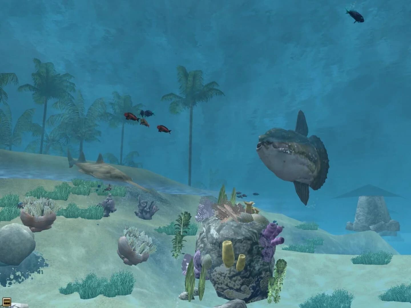 Wildlife Park 2: Marine World screenshot 1