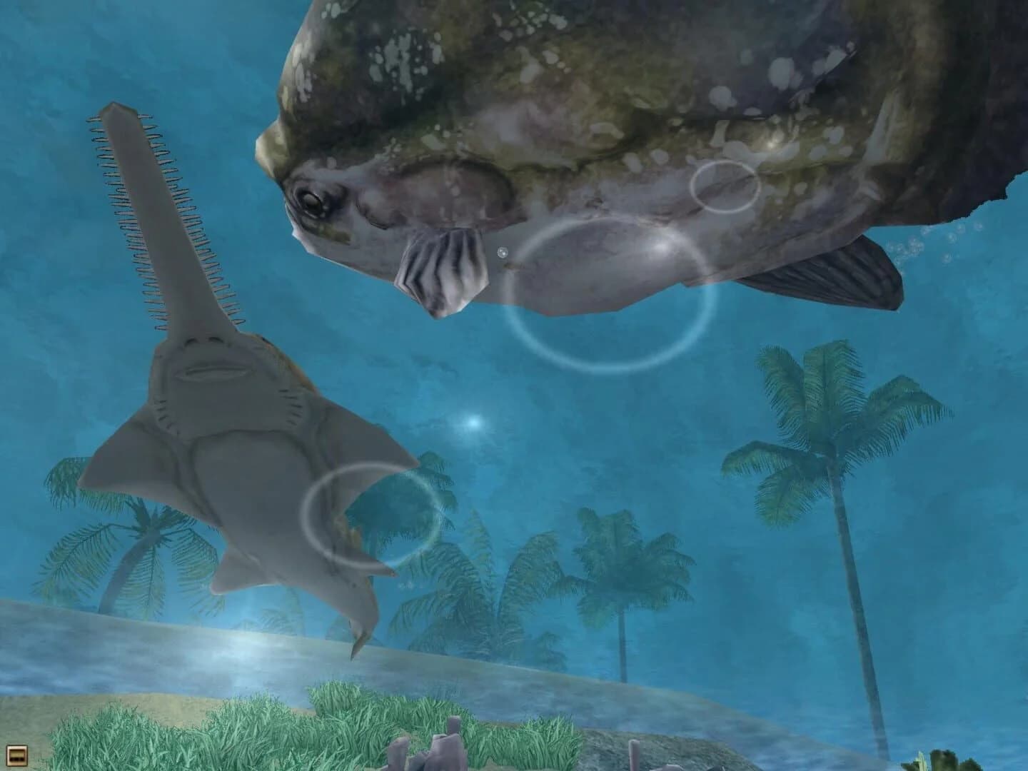 Wildlife Park 2: Marine World screenshot 5