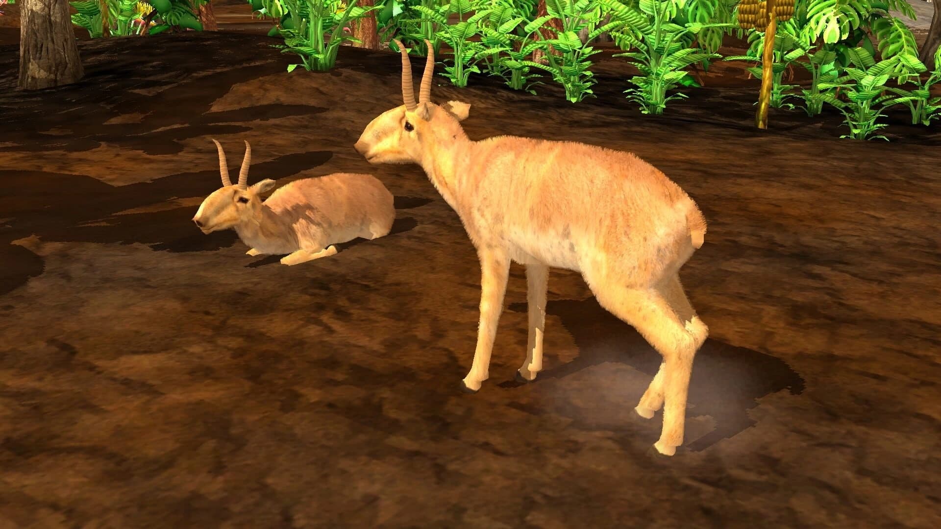 Wildlife Park 3: Asia screenshot 4
