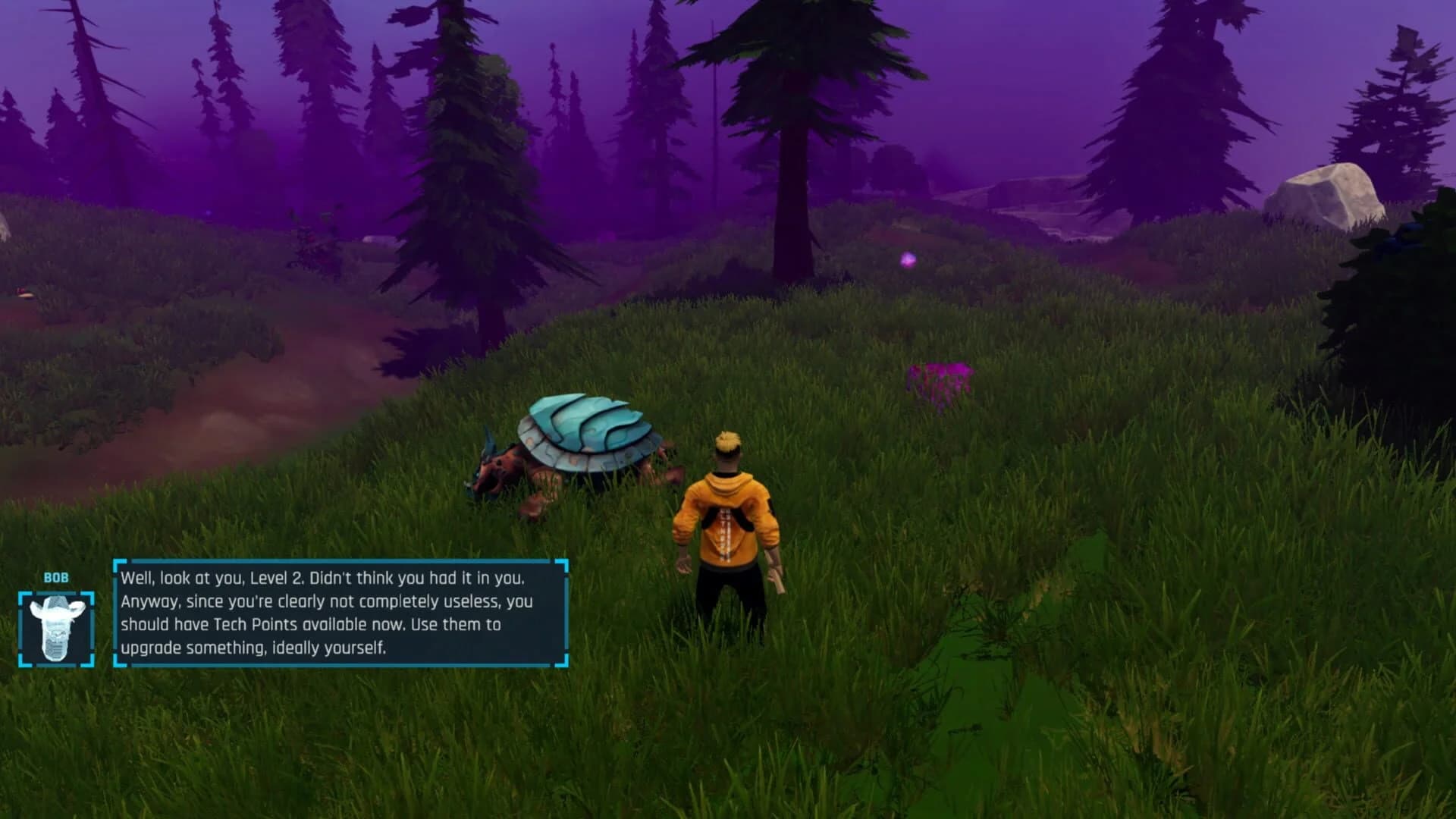 Wildsite screenshot 4