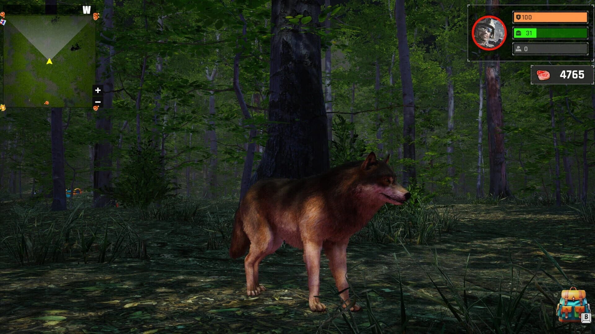 Wolf Simulator: Silent Paws screenshot 4