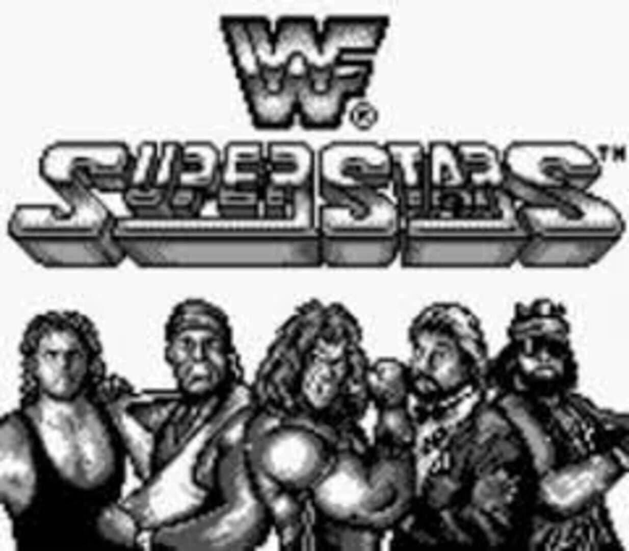 WWF Superstars screenshot 1