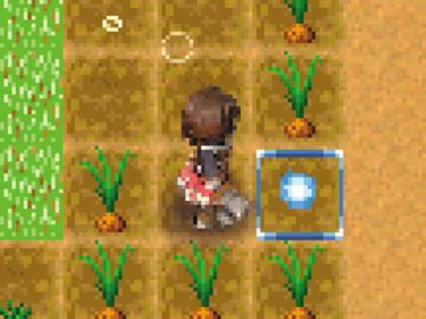 Rune Factory: A Fantasy Harvest Moon screenshot 5