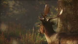 Walktrough Trailer