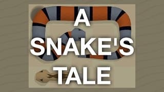 A Snake's Tale video 1