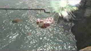 VGA 2007 Trailer