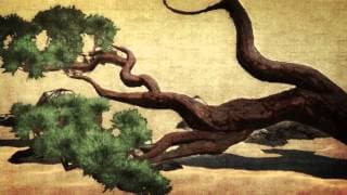 Launch Trailer