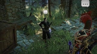 Divinity: Original Sin 2 - Divine Ascension video 3