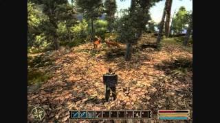 Gameplay video