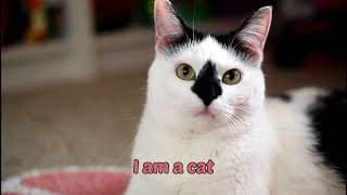 Release Date Trailer