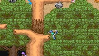 Gameplay Video