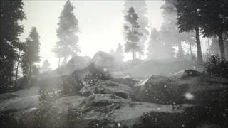 The Light is On
