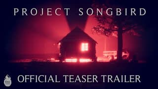 Teaser