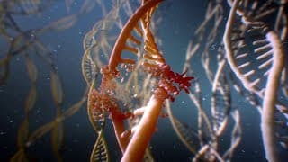 Release Date Trailer