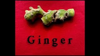 Ginger video 1