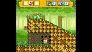 Gameplay Video