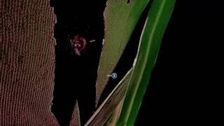 Hide and Seek Gameplay Trailer