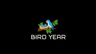 Bird Year video 1