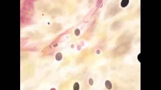 Game intro