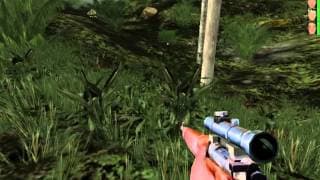Gameplay video