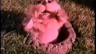 Release Date Trailer