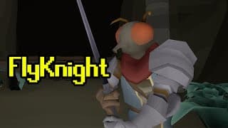 FlyKnight video 1