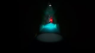 Captive Audience video 1