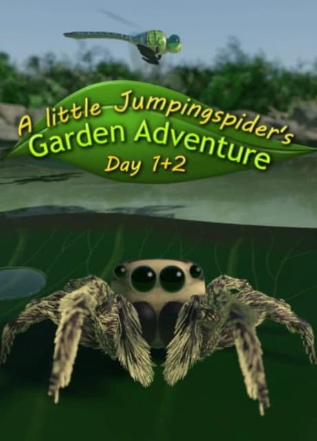 A little Jumpingspider's Garden Adventure (Day 1+2)
