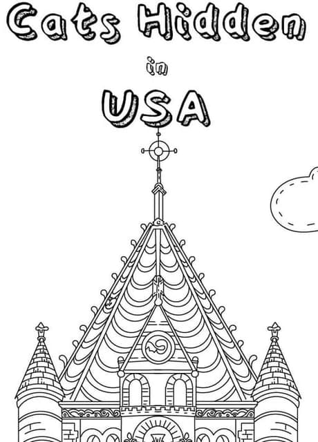 Cats Hidden in USA