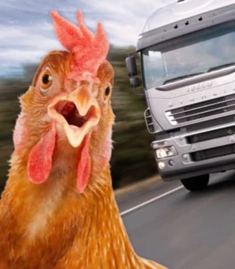 Chicken Royale