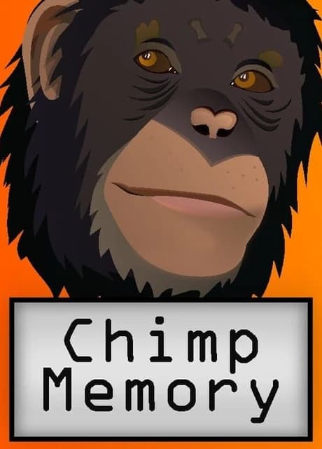 Chimp Memory