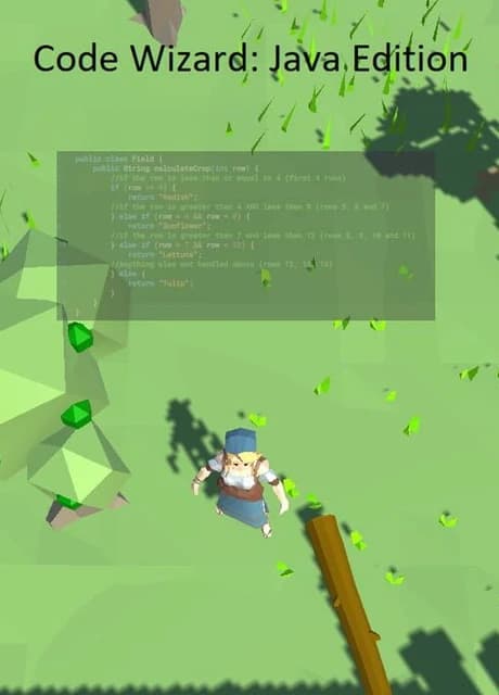 Code Wizard: Java Edition