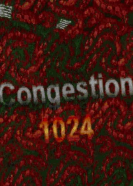 Congestion 1024