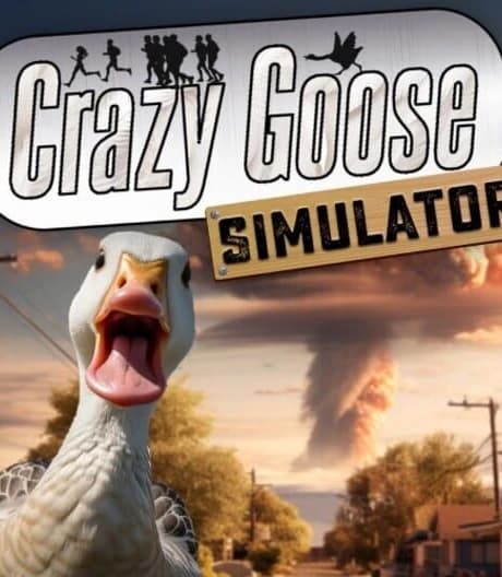 Crazy Goose Simulator