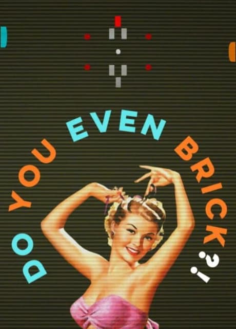 Do You Even Brick?!