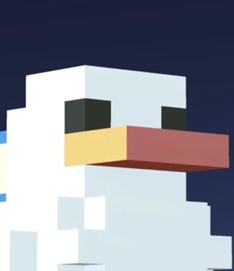 Duck's Island